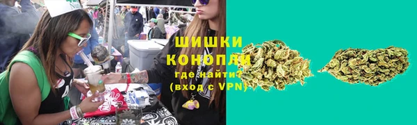 стаф Балахна